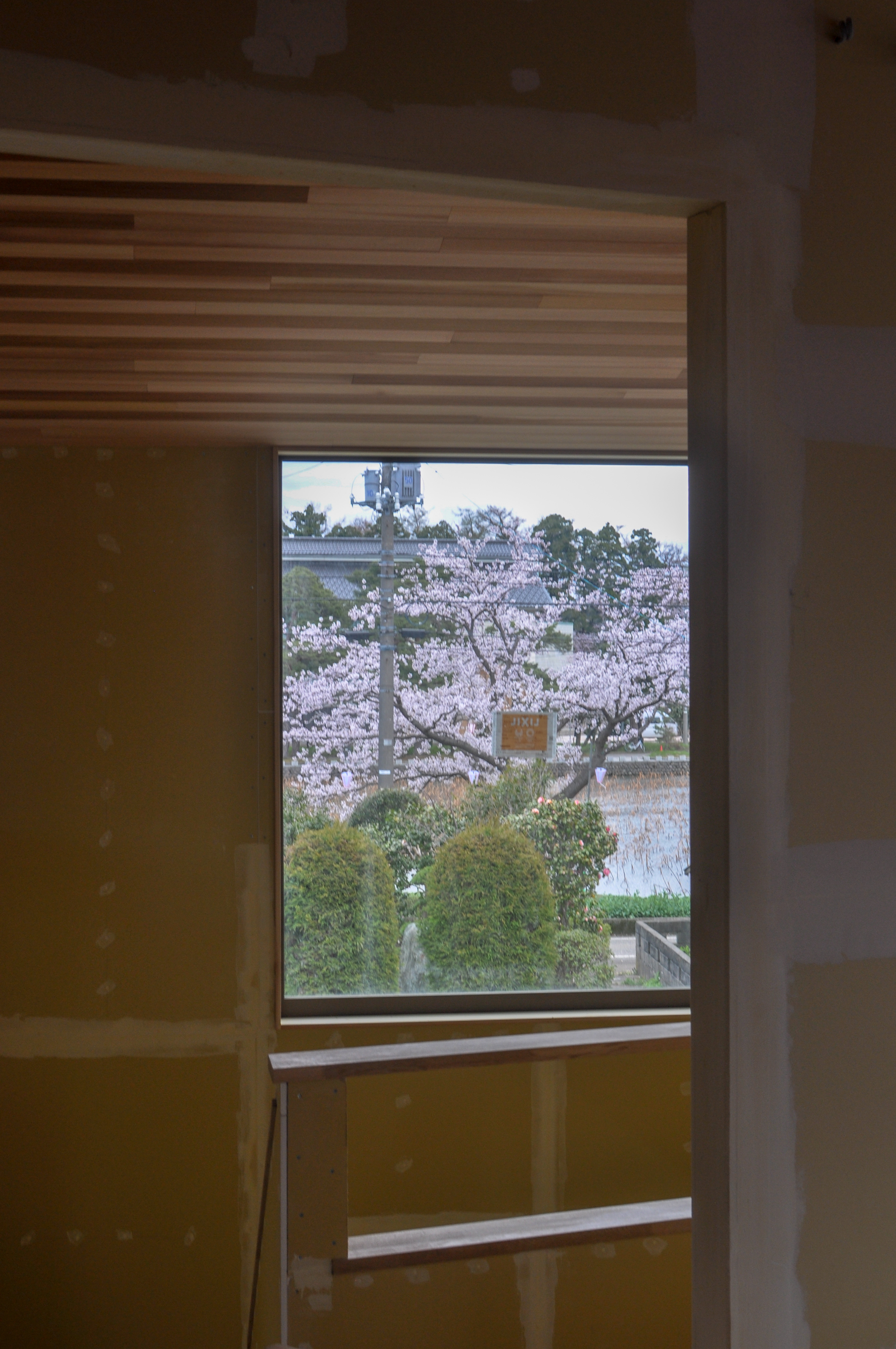 上越高田の桜